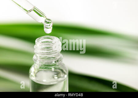 Essenza a base di erbe. olio essenziale che gocciola dalla pipetta alla bottiglia. closeup Foto Stock