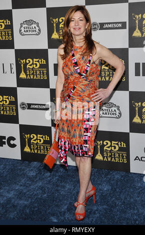 Dana Delany  55 - XXV Film Independent Spirit Awards presso il Nokia Theatre di Los Angeles.Dana Delany  55 Red Carpet Event, verticale, STATI UNITI D'AMERICA, industria cinematografica, celebrità, fotografia, Bestof, arte cultura e intrattenimento, Topix celebrità moda / Verticale, meglio di, evento nella vita di Hollywood - California, moquette rossa e dietro le quinte, USA, industria cinematografica, celebrità, movie celebrità, personaggi televisivi, musica celebrità, fotografia, Bestof, arte cultura e intrattenimento, Topix, verticale, una persona, dall'anno , 2010, inchiesta tsuni@Gamma-USA.com moda - a piena lunghezza Foto Stock