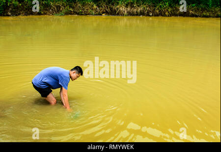 Asian agricoltore raccolta lumache di allevamento in stagno Foto Stock