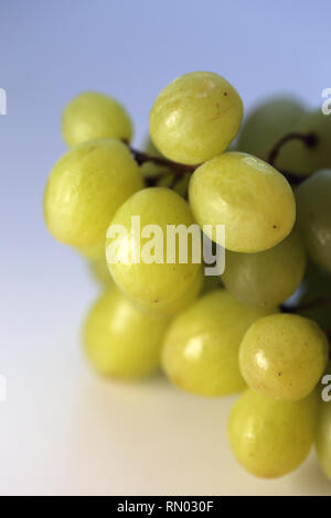 Mature e succose uve verde fotografato su una tabella. Immagine a colori di una sana e deliziosa uva. Closeup prese con un obiettivo macro. Foto Stock