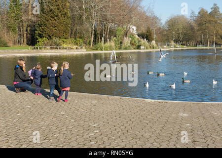 La famiglia (madre con tre bambini) dar da mangiare alle anatre e gabbiani nel Parco Eastrop, Basingstoke, UK, su una soleggiata giornata di febbraio Foto Stock