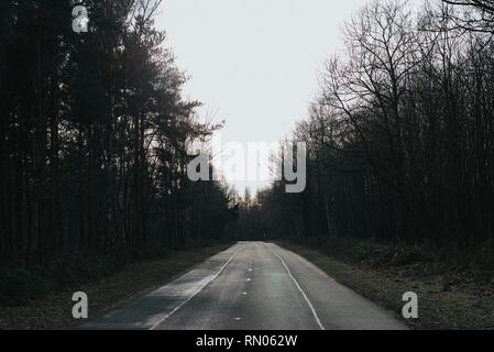 Strada nella Foresta di Sherwood Foto Stock