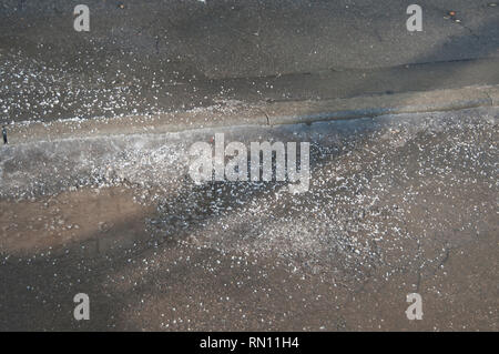 Prodotti chimici antighiaccio su strada asfaltata a Mosca Foto Stock