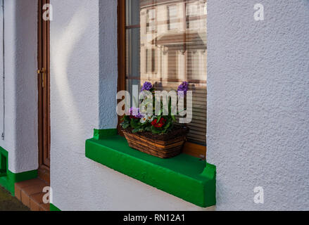 Minigarden sul davanzale. Foto Stock