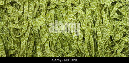 Materie casalingo italiano pasta verde spinaci tagliatelle close up. Asciugare gli spaghetti. Sfondo culinario. Messa a fuoco selettiva, vista dall'alto Foto Stock