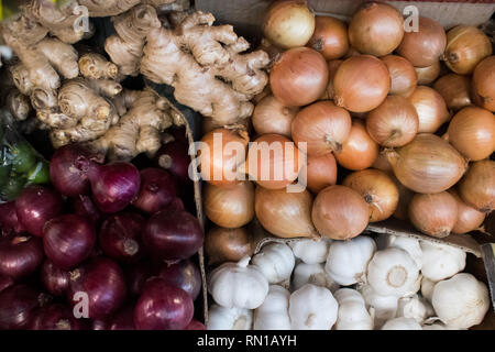 Il bianco e il rosso cipolle, aglio e zenzero visualizzato insieme Foto Stock