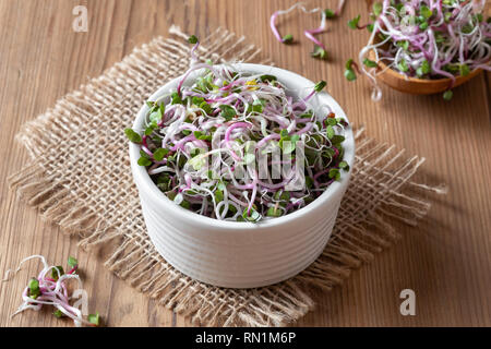 Rosa fresca germogli di rafano in una ciotola Foto Stock