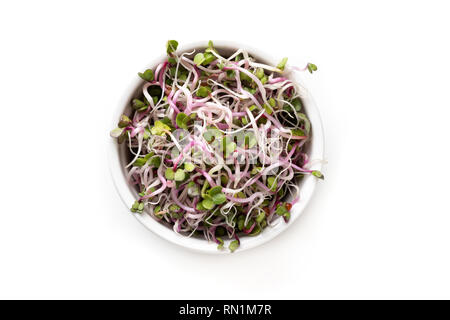 Rosa fresca germogli di rafano in una ciotola su uno sfondo bianco, vista dall'alto Foto Stock