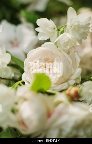 Primo piano di un bouquet di rose e altri fiori bianchi. grande foto di fiori Foto Stock