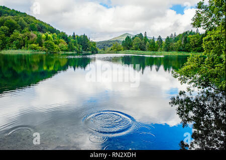 Uno dei la cascata dei Laghi di Plitvice, Croazia. Splash al largo. L'abbondanza di pesci nel lago. Una vera vergine e meraviglioso pezzo di natu Foto Stock