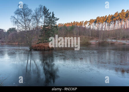 I boschi e il litorale dei laghi di pesca a Cannock Chase, AONB in Staffordshire. Foto Stock