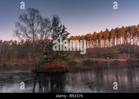 I boschi e il litorale dei laghi di pesca a Cannock Chase, AONB in Staffordshire. Foto Stock