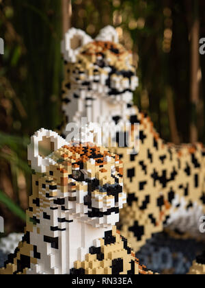 Cheetah cub modelli, alcuni di lifesize Lego grande gatti per lo Zoo di Chester Foto Stock