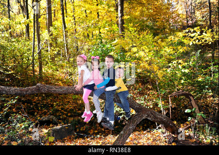 Famiglia di quattro figli, due ragazze e due ragazzi, siete saliti su un albero e sono seduti in una fila. Tutti sono felici tranne l'ultimo che appare spaventato t Foto Stock