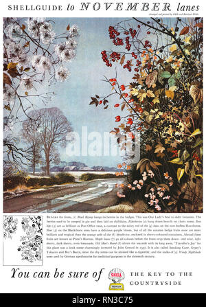 1954 British pubblicità per Shell Petroleum, illustrato da Edith e Rowland Hilder. Foto Stock