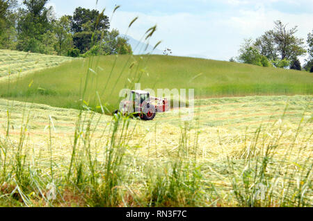 Tennessee agricoltore taglia il fieno nel suo campo con un trattore rosso e la falciatrice. Il fieno stabilisce in righe dietro il rastrello. Foto Stock