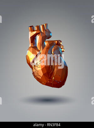 Bassa poli 3D cuore umano illustrazione su sfondo grigio Foto Stock