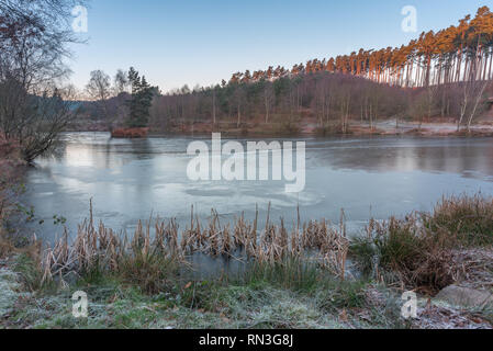 I boschi e il litorale dei laghi di pesca a Cannock Chase, AONB in Staffordshire. Foto Stock