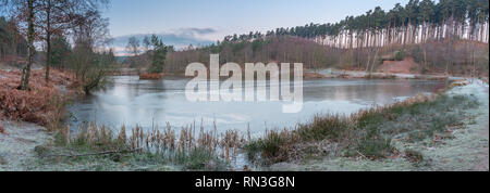 I boschi e il litorale dei laghi di pesca a Cannock Chase, AONB in Staffordshire. Foto Stock