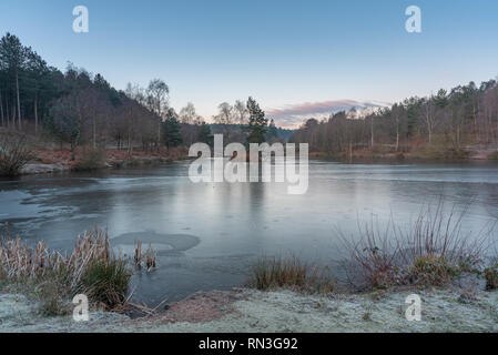 I boschi e il litorale dei laghi di pesca a Cannock Chase, AONB in Staffordshire. Foto Stock