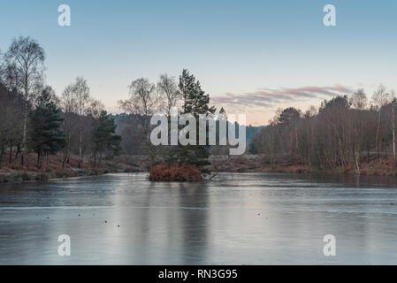 I boschi e il litorale dei laghi di pesca a Cannock Chase, AONB in Staffordshire. Foto Stock