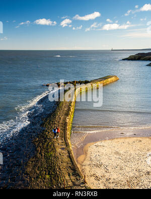 Tynemouth, England, Regno Unito - 4 Febbraio 2019: un giovane a piedi lungo la pietra della parete del porto di Baia Cullercoats Tyneside sulla costa del Mare del Nord. Foto Stock