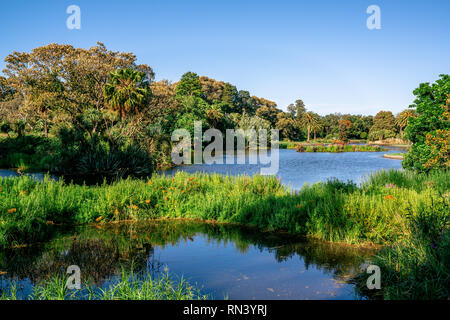 Lago ornamentale vista con gli alberi e il verde della natura presso il Royal Botanical gardens in Melbourne Victoria Australia Foto Stock