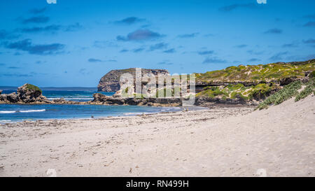 Seal Bay paesaggi sulla Kangaroo Island South Australia con appoggio leoni marini australiani Foto Stock