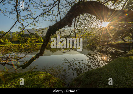 Taiping Heritage Giardino del Lago Foto Stock