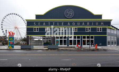 L'Aquarium di Seattle con il Seattle grande ruota in background, Seattle, Washington Foto Stock