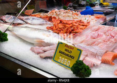 Pressione di stallo di pesce barramundi con i filetti di pesce in un mercato in Melbourne Victoria Australia Foto Stock