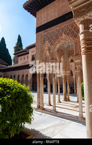 Il Patio de los Leones, cortile dei Leoni, all'Alhambra, un complesso di palazzi moreschi del XIII secolo a Granada, Spagna. Foto Stock