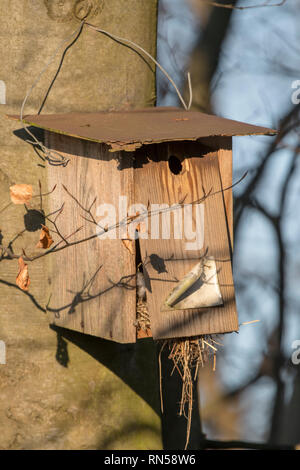 Il vecchio in casa di nidificazione di uccelli casella pende rotto su un albero davanti a sfondo sfocato Foto Stock