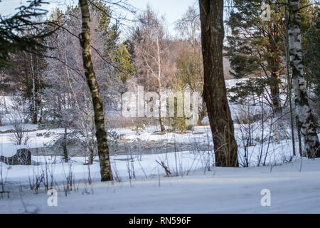 Paesaggio di Rajcherov, un ex villaggio distrutto (paese) nel sud della Repubblica ceca Foto Stock