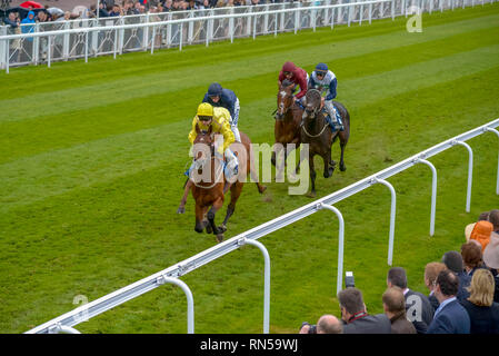 Il Chester Vase gara incontro a Chester Races. Foto Stock