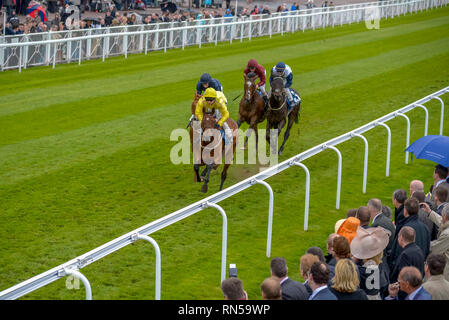 Il Chester Vase gara incontro a Chester Races. Foto Stock