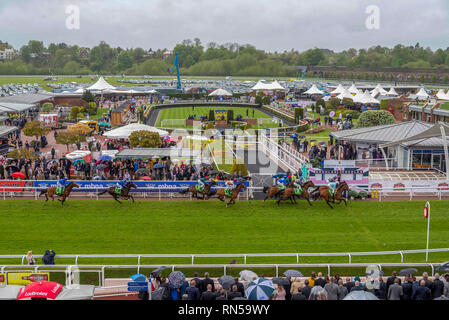 Il Chester Vase gara incontro a Chester Races. Foto Stock