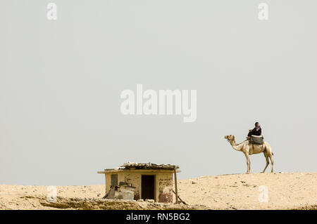 Saqqara, Egitto - 13 Aprile 2008: driver di cammello sulle dune del deserto vicino al sito archeologico di Saqqara Foto Stock