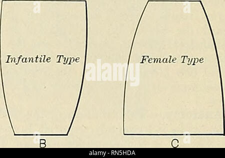 . Anatomia, descrittivo e applicata. Anatomia. 1240 gli organi della digestione gotomy è eseguita. Se il corpo estraneo è presentata nella parte inferiore di un terzo della gola, lo stomaco è aperto (gastrotomia) ed il corpo estraneo viene estratta. Se il corpo estraneo è consentito di rimanere depositato nell'esofago, estesa infiammazione e ulcerazione può derivare. In un caso il corpo estraneo in ultima analisi penetrato la sostanza intervertebrale e distrutto vita da infiammazione delle membrane e la sostanza del midollo spinale. Il funzionamento di cesophagotomy viene così eseguito: il paziente essendo posta al suo Foto Stock