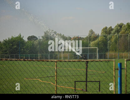 Irrigazione sprinkler erba al campo di calcio Foto Stock