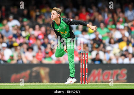 Marvel Stadium, Melbourne, Australia. Xvii Feb, 2019. Australian Big Bash Cricket League, Melbourne traditori rispetto a Melbourne stelle; Adam Zampa di Melbourne la stelle bocce Credito: Azione Sport Plus/Alamy Live News Foto Stock