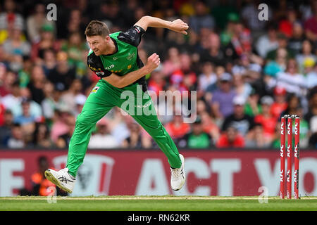 Marvel Stadium, Melbourne, Australia. Xvii Feb, 2019. Australian Big Bash Cricket League, Melbourne traditori rispetto a Melbourne stelle; Jackson Bird di Melbourne la stelle bocce Credito: Azione Sport Plus/Alamy Live News Foto Stock