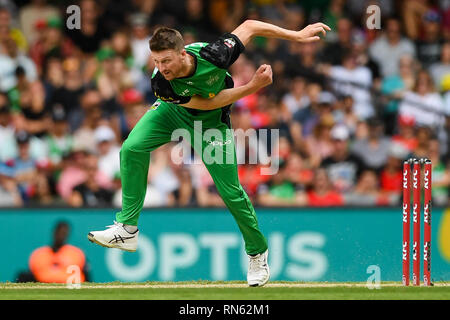 Marvel Stadium, Melbourne, Australia. Xvii Feb, 2019. Australian Big Bash Cricket League, Melbourne traditori rispetto a Melbourne stelle; Jackson Bird di Melbourne la stelle bocce Credito: Azione Sport Plus/Alamy Live News Foto Stock