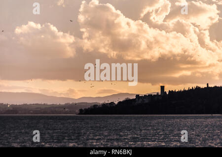 Uccelli in volo sul lago trasimeno con caldi colori del tramonto Foto Stock