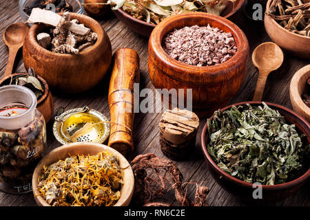 Un assortimento di naturale di erbe mediche.L'omeopatia e la medicina alternativa Foto Stock