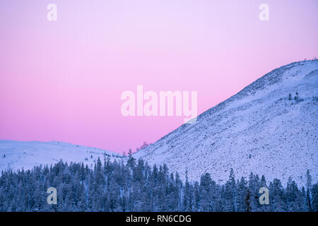 Dettaglio della coperta di neve fells durante il tramonto con copia spazio in Äkäslompolo, Finlandia Foto Stock