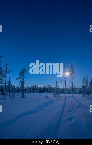 Luna splende sopra Pallas fells ombra degli alberi sulla neve fresca a notte invernale in Pallas-Yllästunturi parco nazionale in Muonio, Finlandia Foto Stock