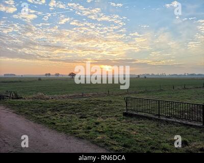 Sonnenaufgang über den Wiesen Foto Stock