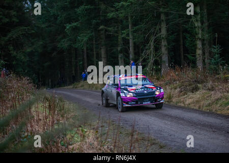 Rally Car competere nel 2019 Cambrian Rally, Alwen foresta, il Galles del Nord Foto Stock