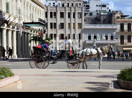 L'Avana, Cuba - Gennaio 10, 2019: uomo cubano corre a cavallo e carrozza per le strade di l'Avana. Cuba Foto Stock